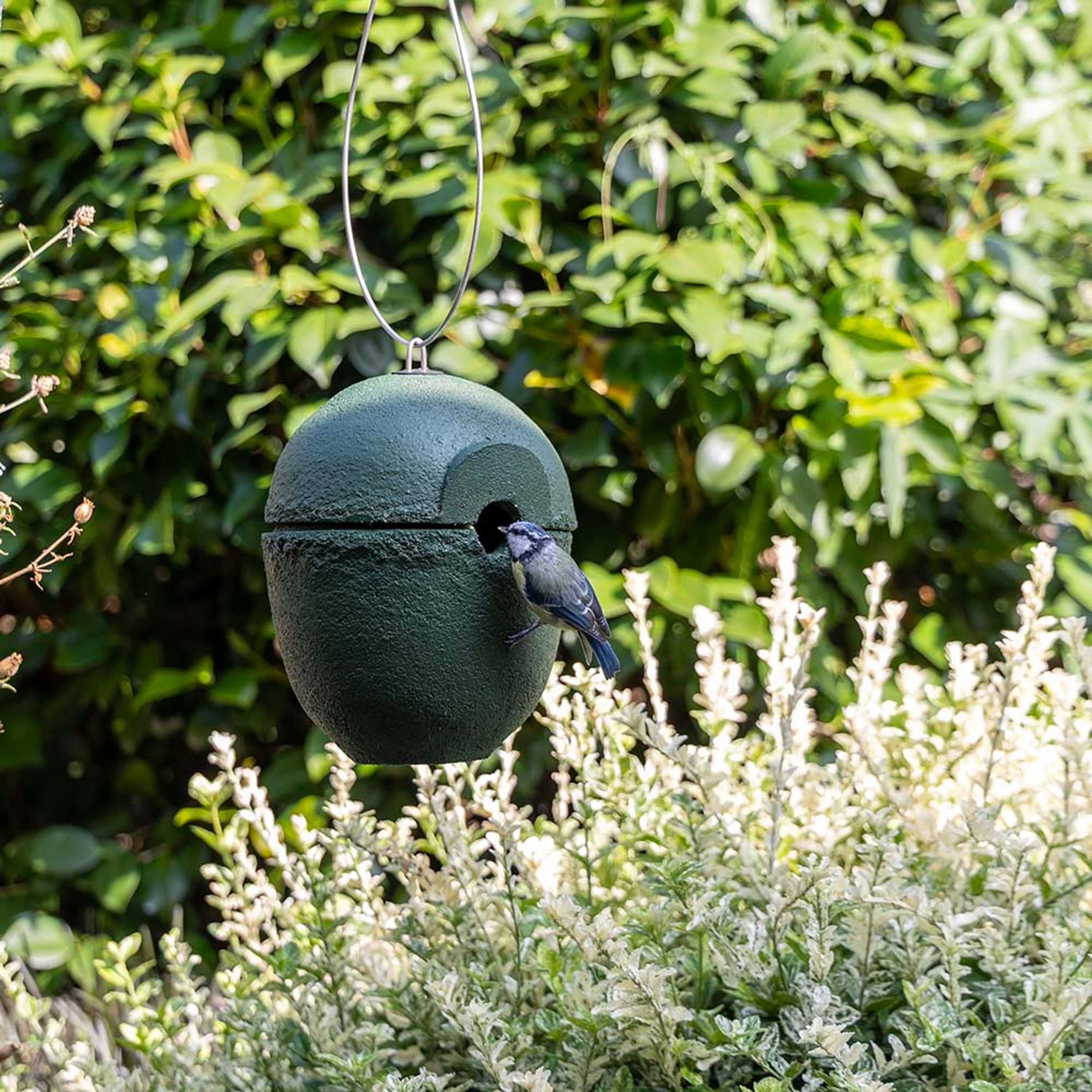 WoodStone-Nistkasten „Malaga“ 28 mm grün | Vogelhaus Holzbeton | CJ Wildlife